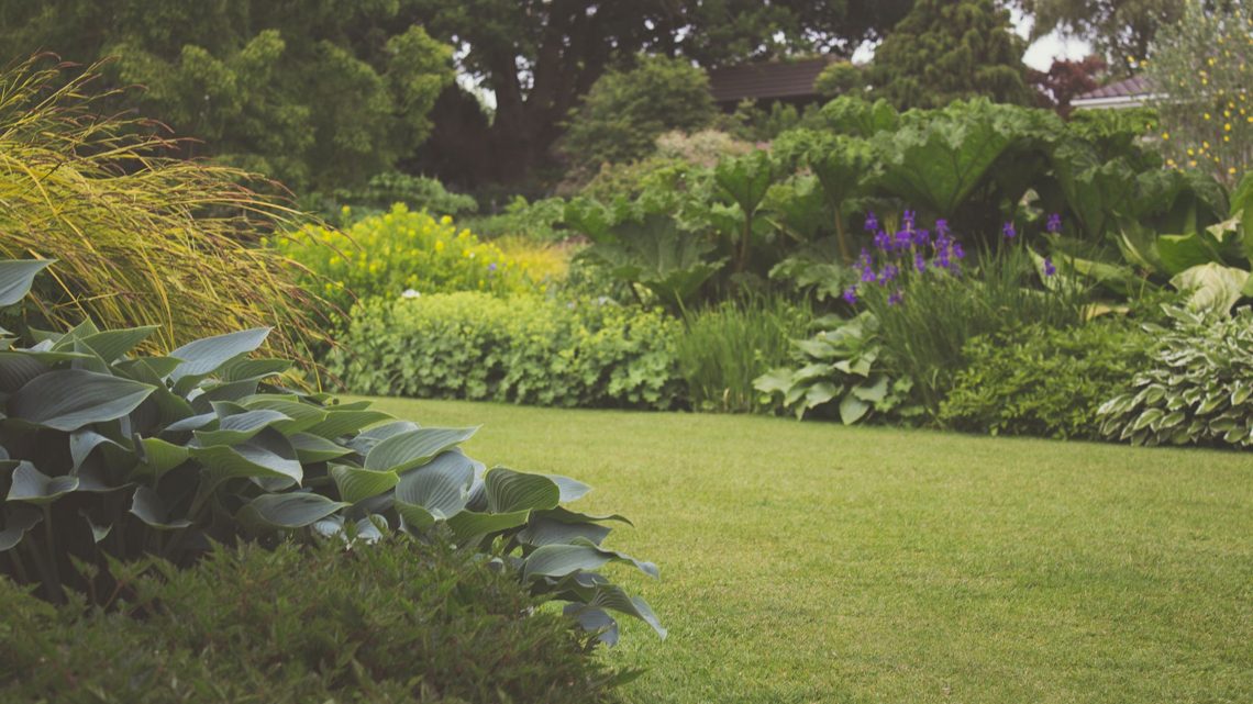 Tips voor een mooie tuininrichting