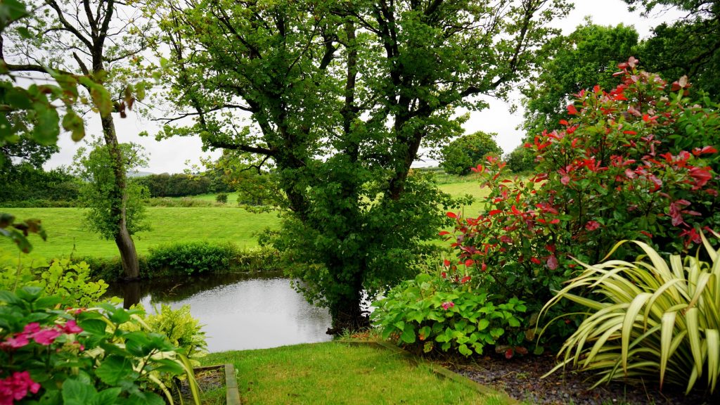 planten in je tuin