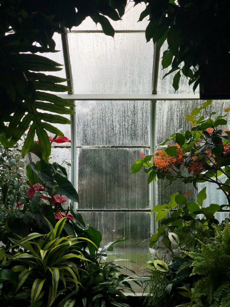 serre inrichten met planten