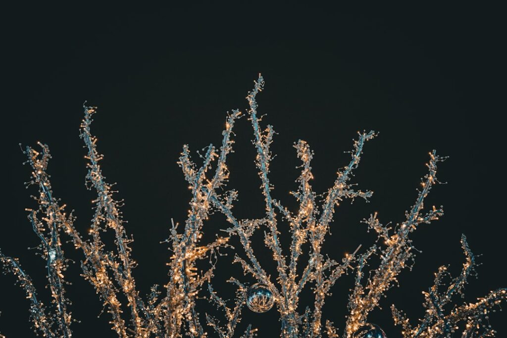 A close up of a tree with snow on it